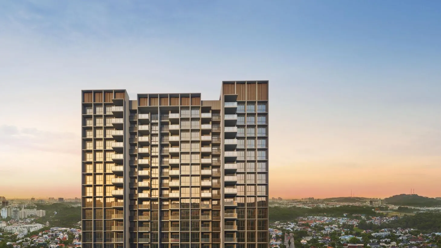 Developer Background